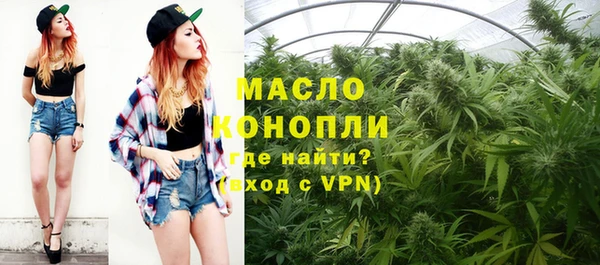 mix Богородицк